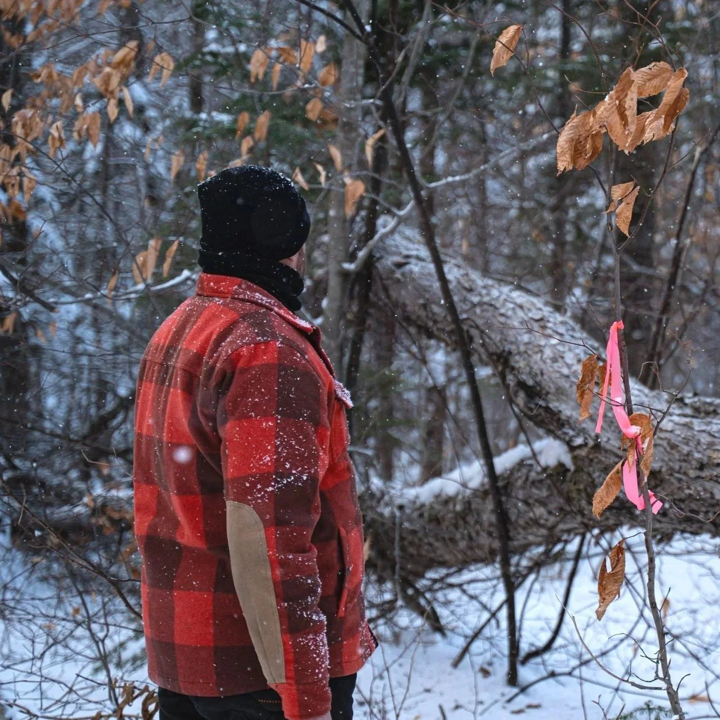 Une personne portant un manteau rouge et un bonnet noir, debout dans une forêt enneigée, regardant un arbre marqué avec des rubans rose.