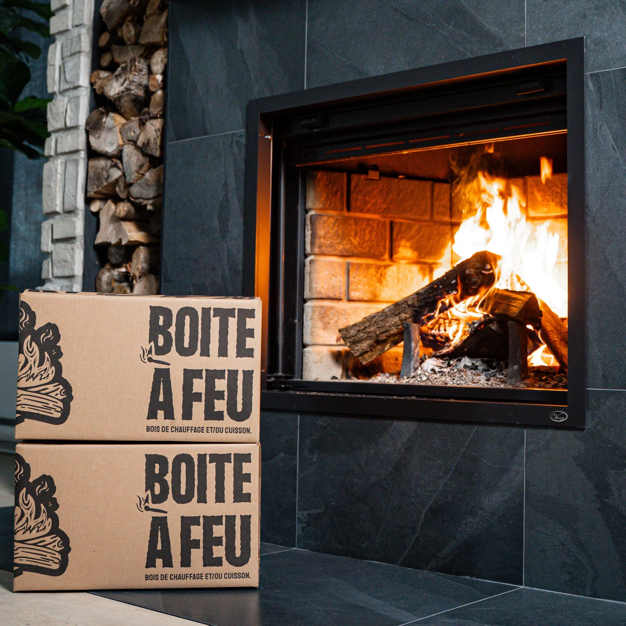 Deux cartons en carton placés devant une cheminée à foyer fermé avec un feu qui brûle à l'intérieur.