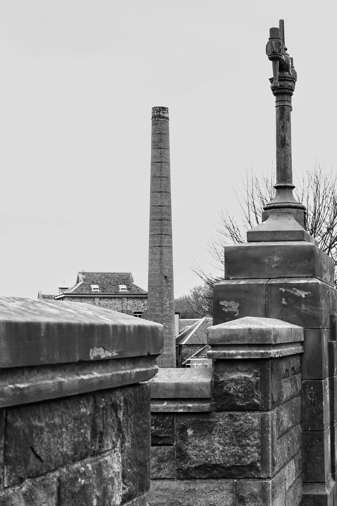 Victoria Elliott_Digital photography project-14.jpg