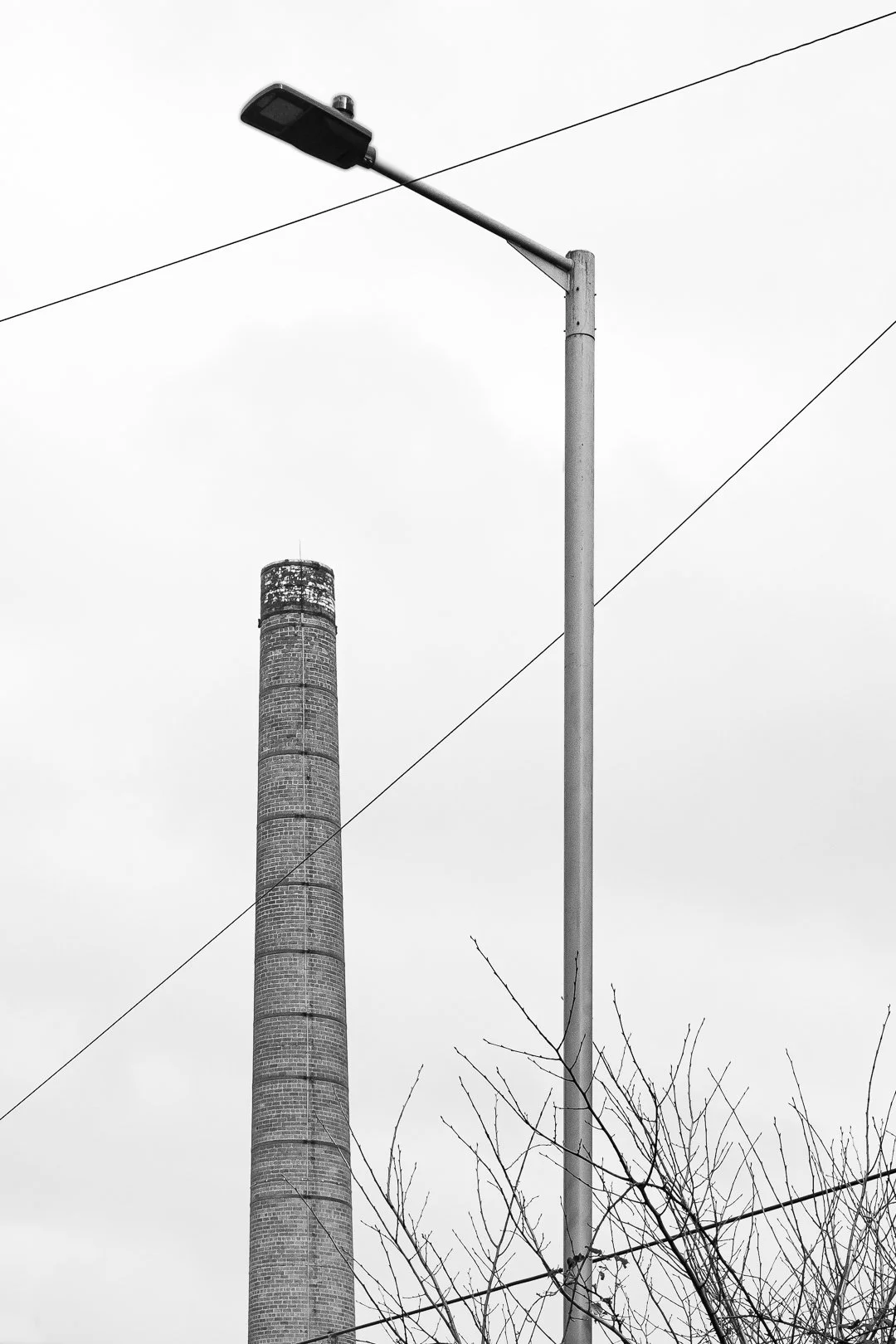 Victoria Elliott_Digital photography project-11.jpg