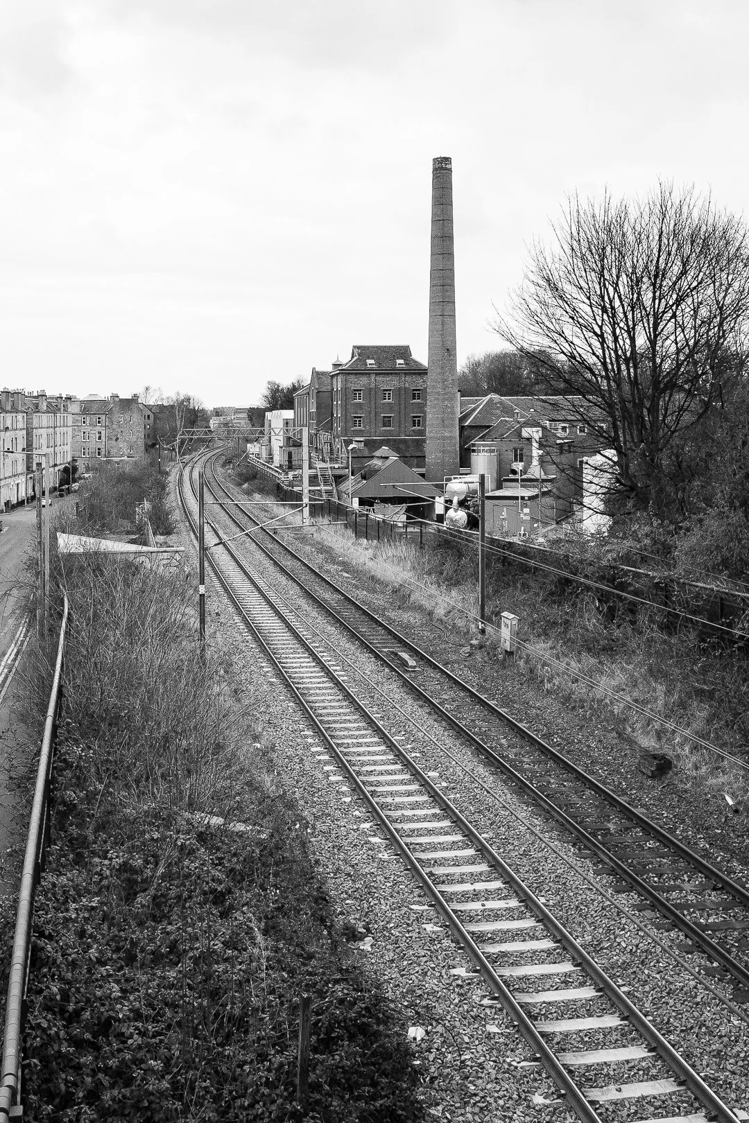 Victoria Elliott_Digital photography project-16.jpg