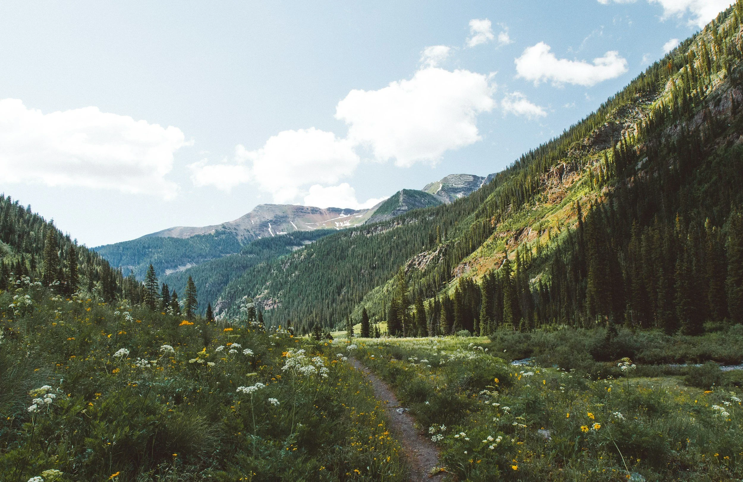 Scenic mountain valley with green slopes, a narrow trail, wildflowers, and a blue sky with scattered clouds.