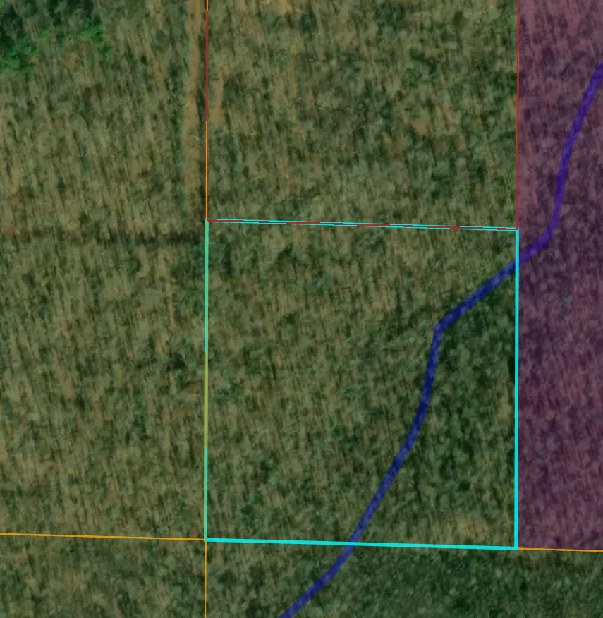 Wetlands area.png
