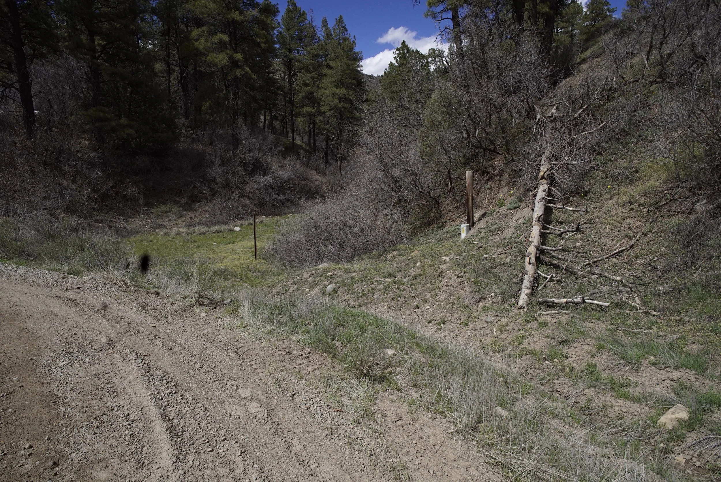 Easement Entrance - power.JPG