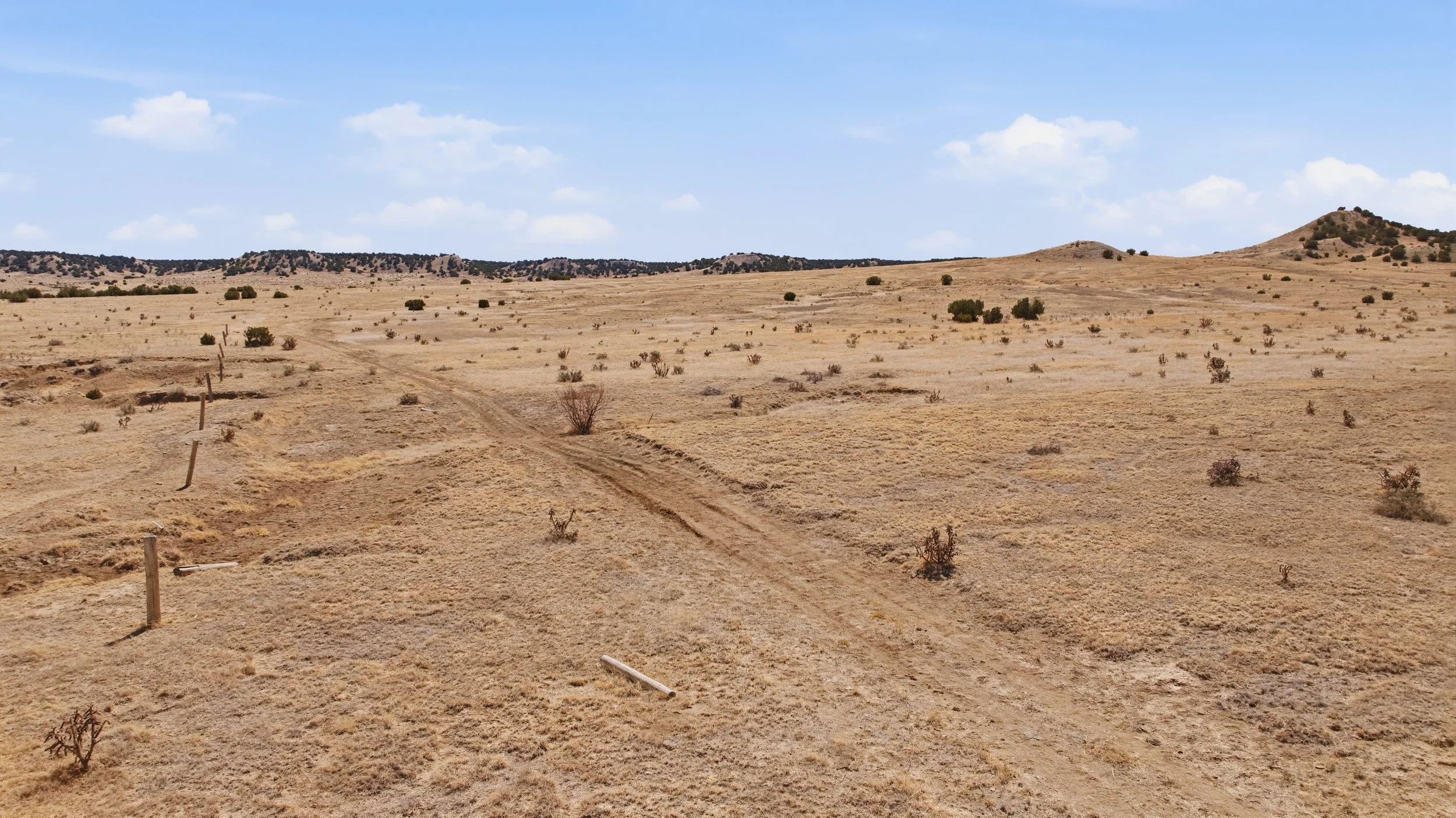 DJI_20260414112430_0586_D.jpg