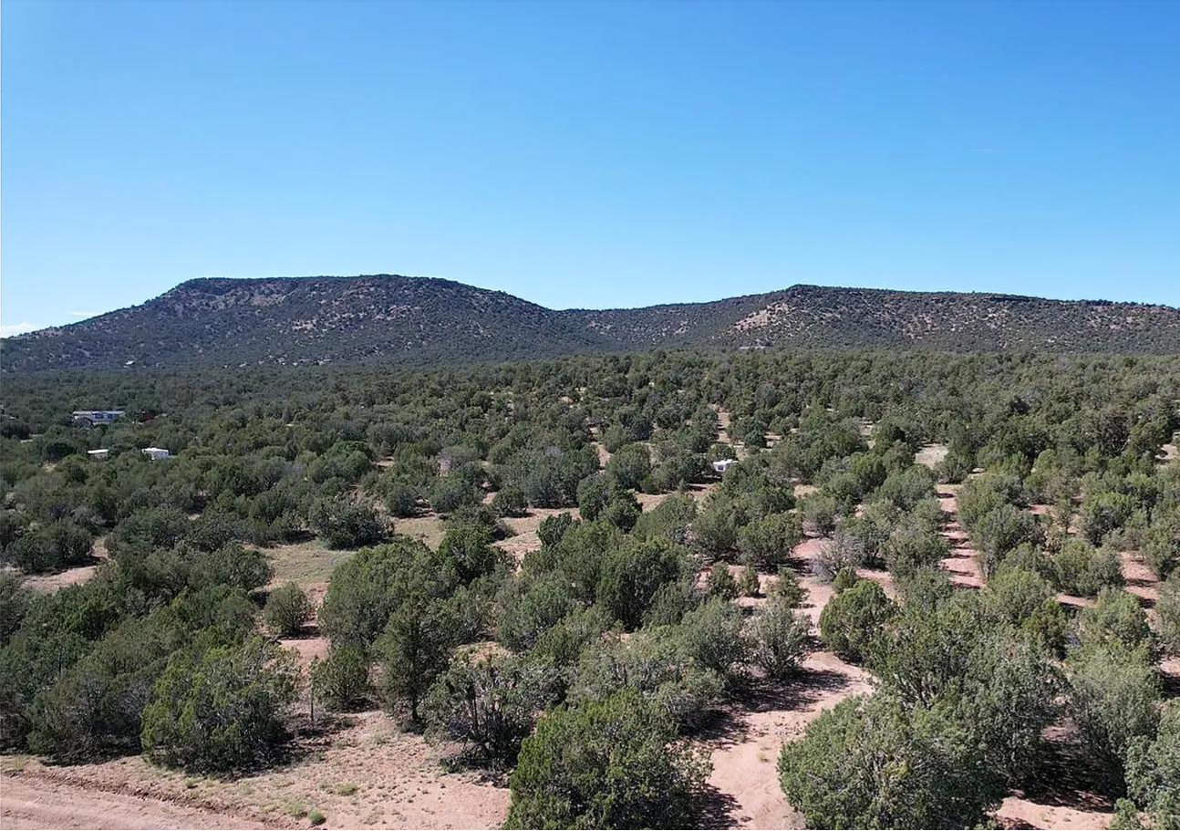 Photo5 facing mtn.png