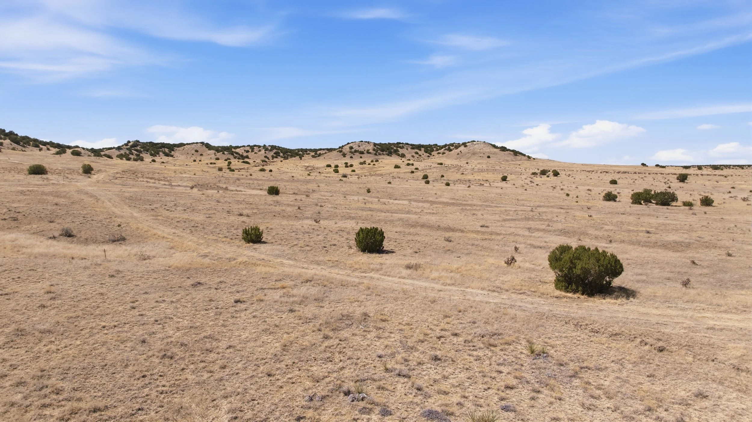 DJI_20260414112721_0595_D.jpg