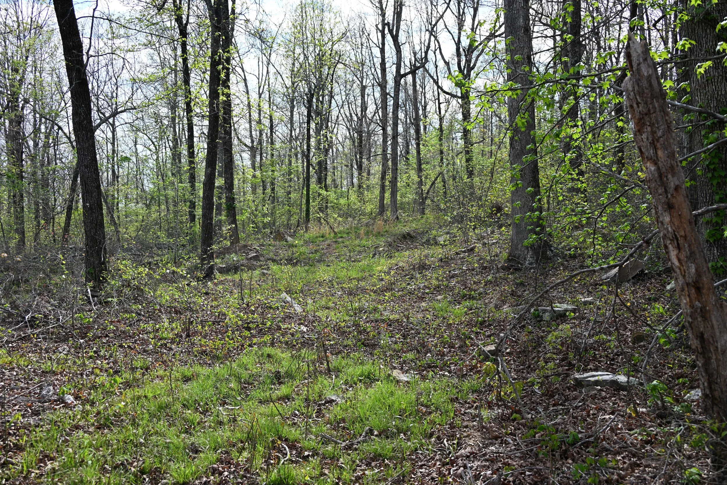 DSC_0461.JPG