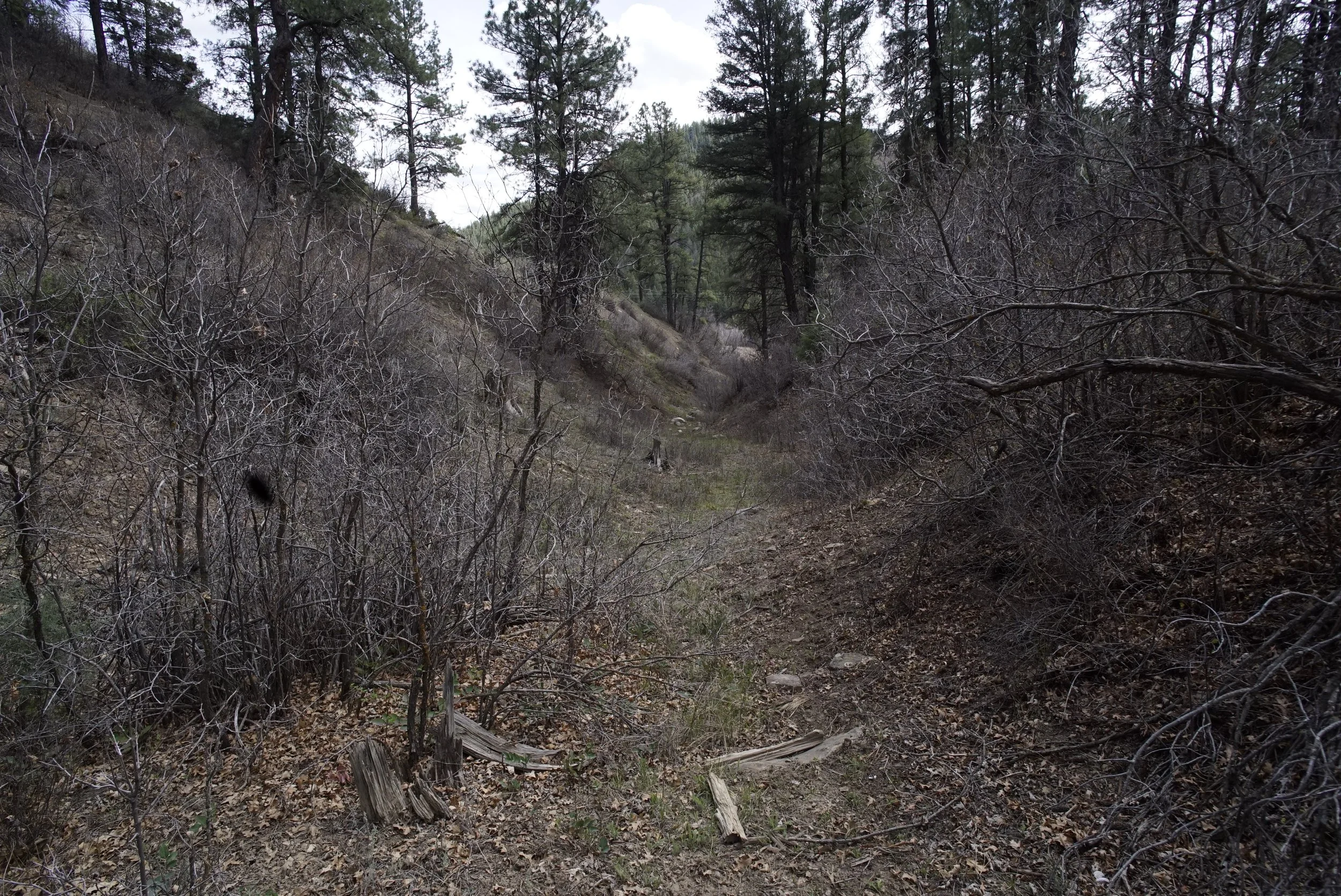 Easement path1.JPG