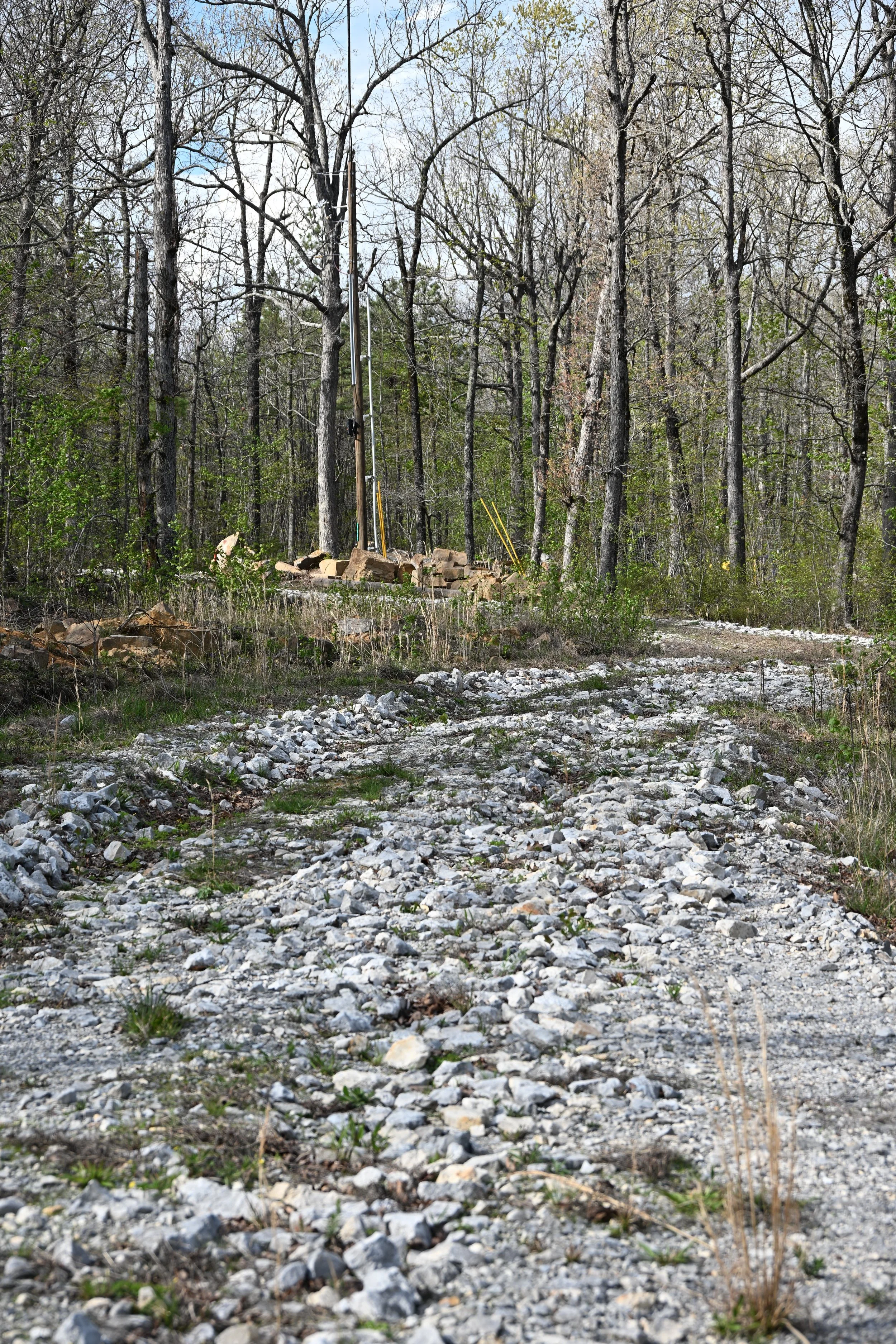DSC_0474.JPG