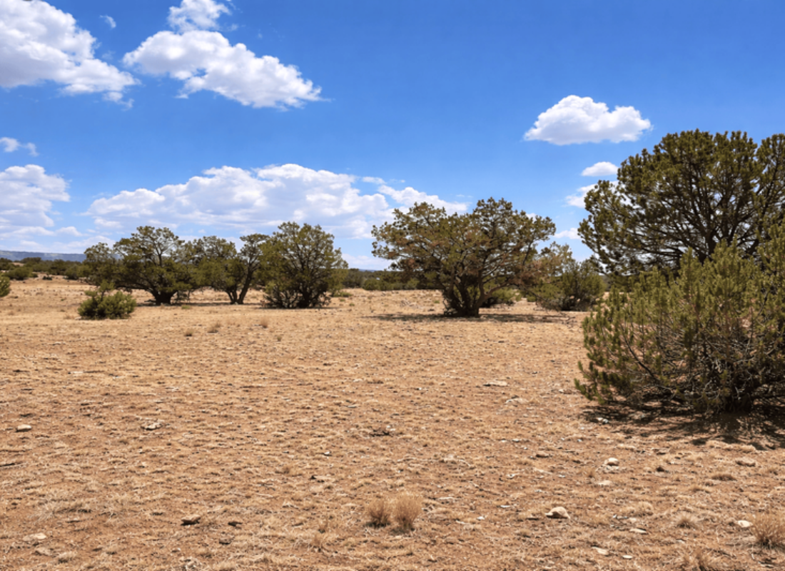 Perfect Spot for a Tiny Home or Off-Grid Cabin on 1.15 acres in Seligman, AZ - $150/mo