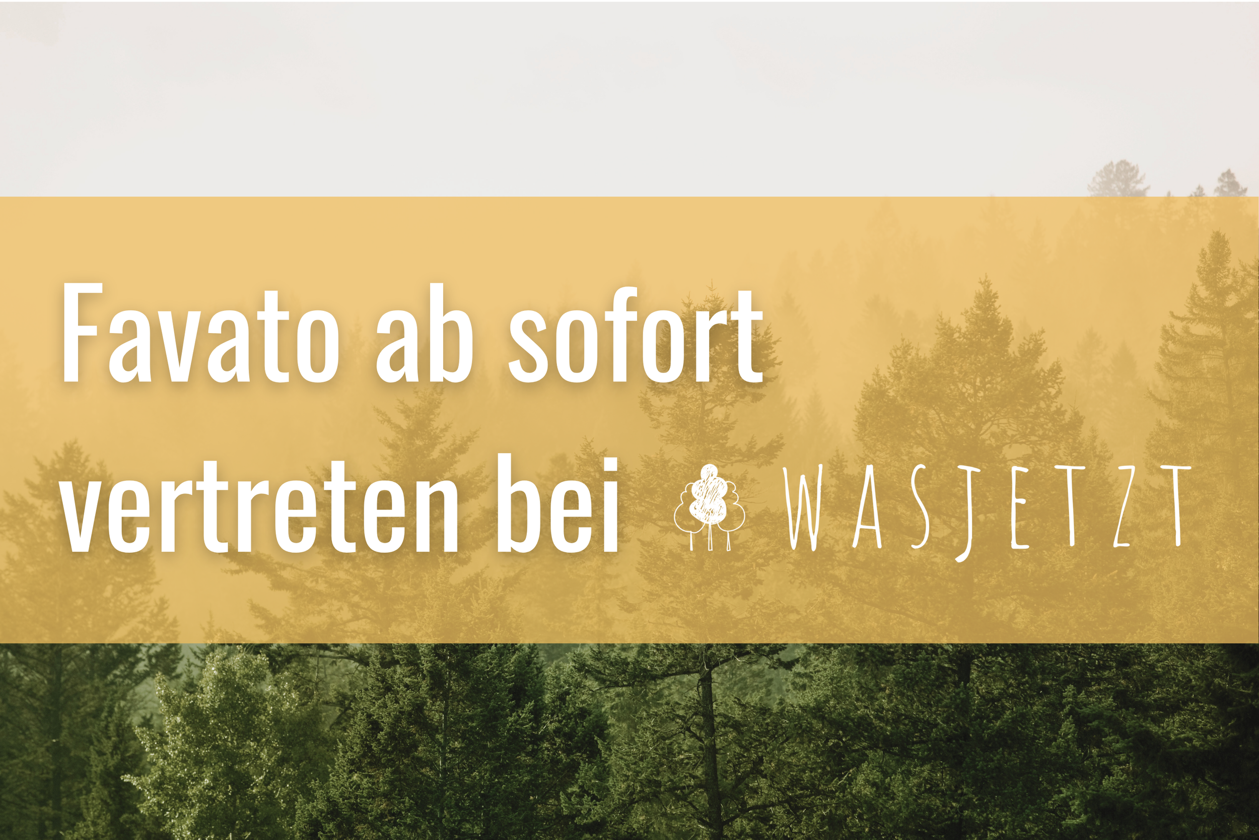 Regionale Netzwerke stärken den Mittelstand – deshalb sind wir ab sofort auf WasJetzt Odenwald vertreten.
