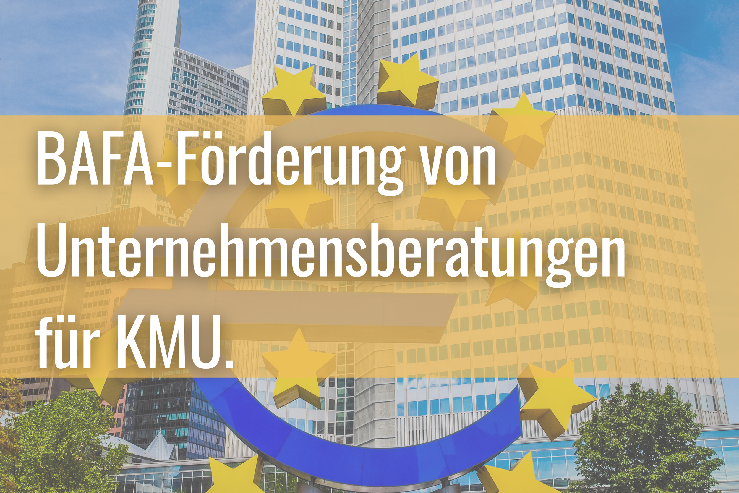 BAFA-Förderung von Unter­nehmens­beratungen für KMU – Beratungs­förderung für kleine und mittlere Unter­nehmen nutzen.