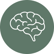 Outline of a human brain on a dark green background