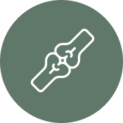 Line drawing of a donut with sprinkles on a green circular background