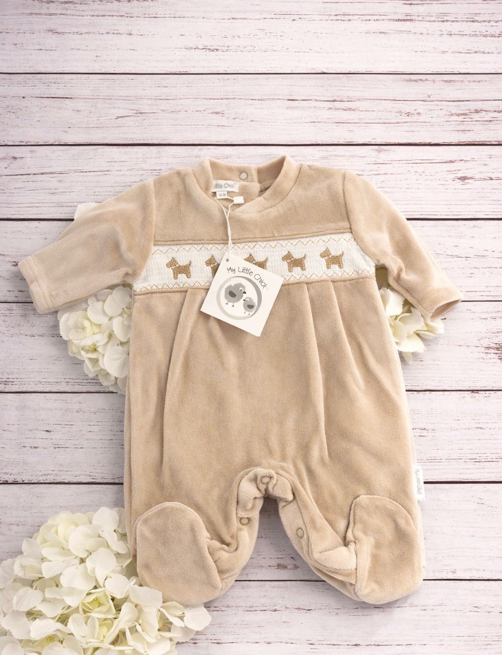 WhatsApp Image 2026-01-29 at 13.47.41.jpeg