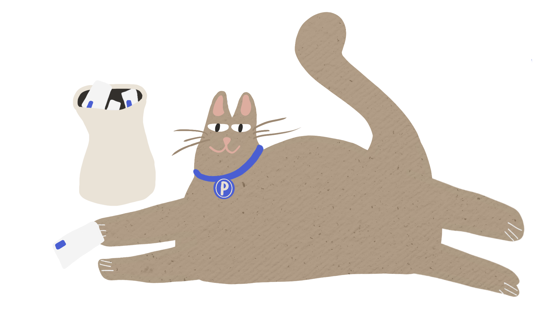 Un gato de color gris con un collar azul y una medalla con letra 'P' se encuentra en el mostrador de una oficina de parqueadero, siendo atendido por una persona con bata blanca. Hay una caja con objetos y un cartel en el fondo.