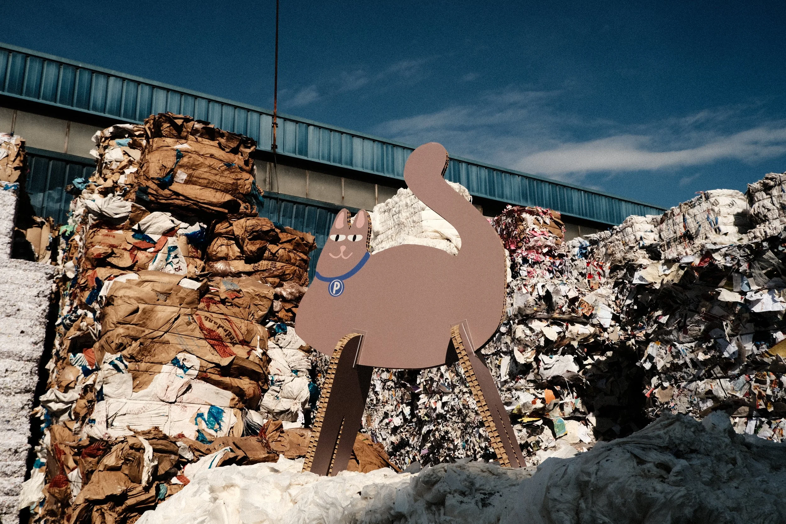 Un día con Pelton en Granollers: así empieza la siguiente vida del papel y el cartón