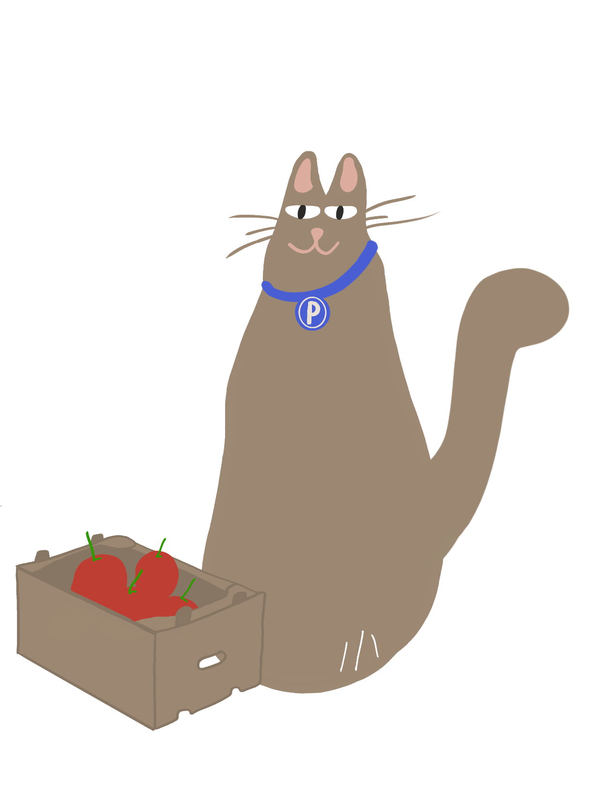 Gato marrón con collar azul y medalla con letra 'P' sostiene caja con tomates.