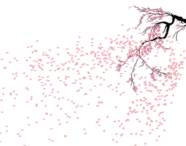 Pink cherry blossom tree branches against a sky background.