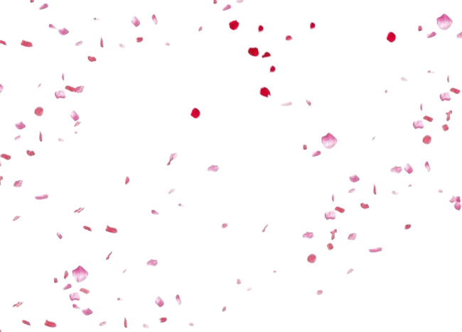 The image appears to be corrupted or glitched, making it difficult to identify its contents.