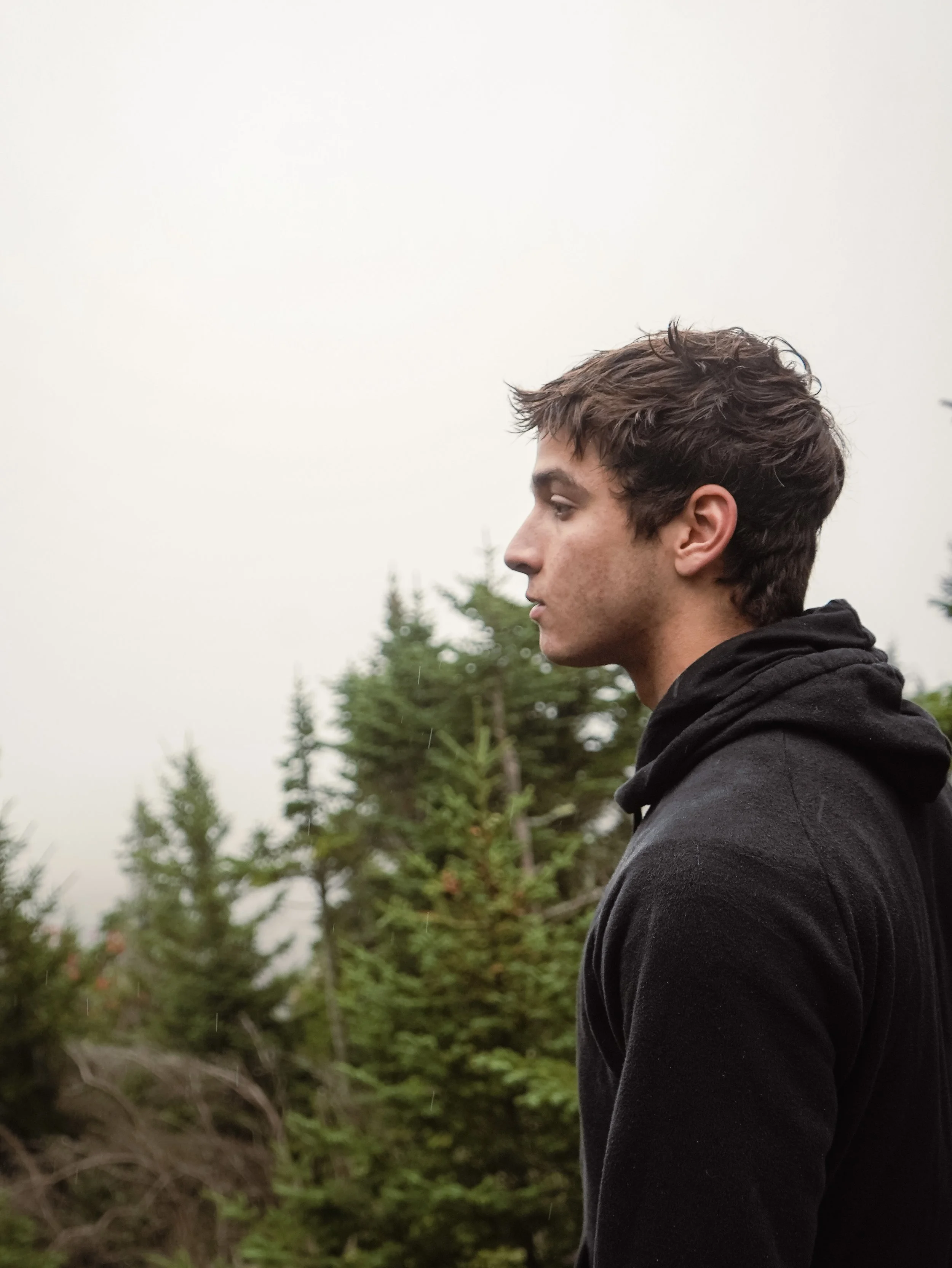 Noble at the summit of a mountain in Vermont.