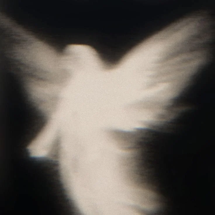 Miracle Sample Library