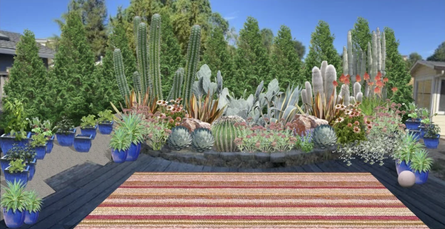 A backyard garden with a variety of cacti and succulents in blue pots arranged on a black wooden deck. There is a colorful striped rug in the foreground. The background features tall trees and a clear blue sky.