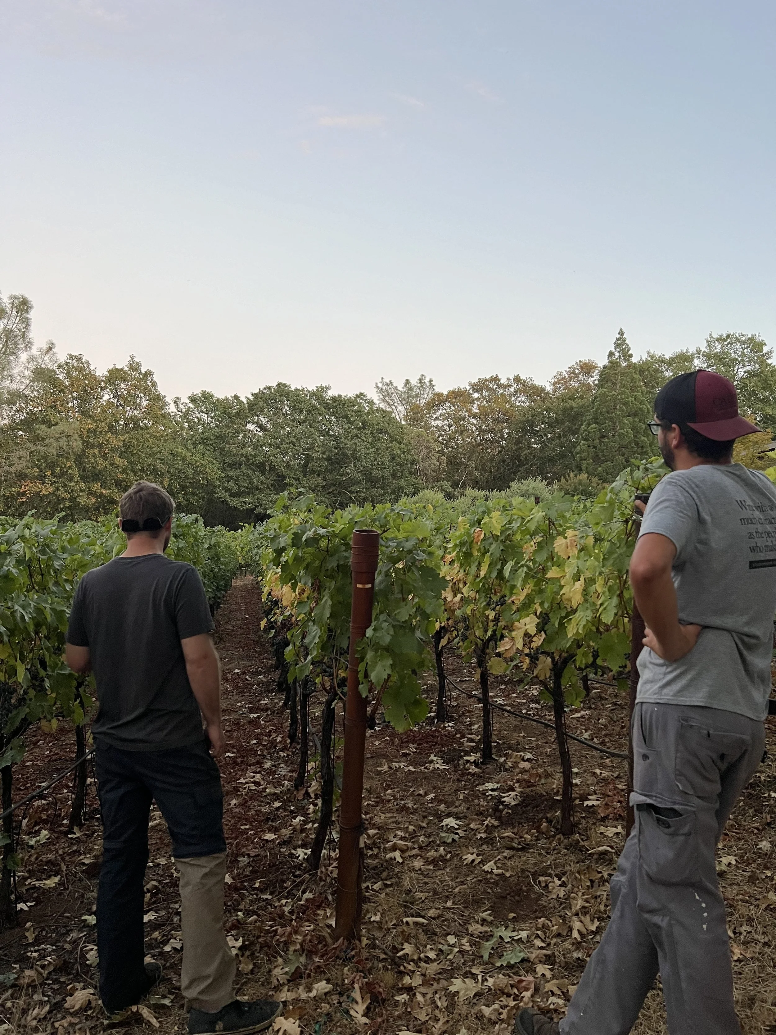 Winery Recommendations + Suggestions