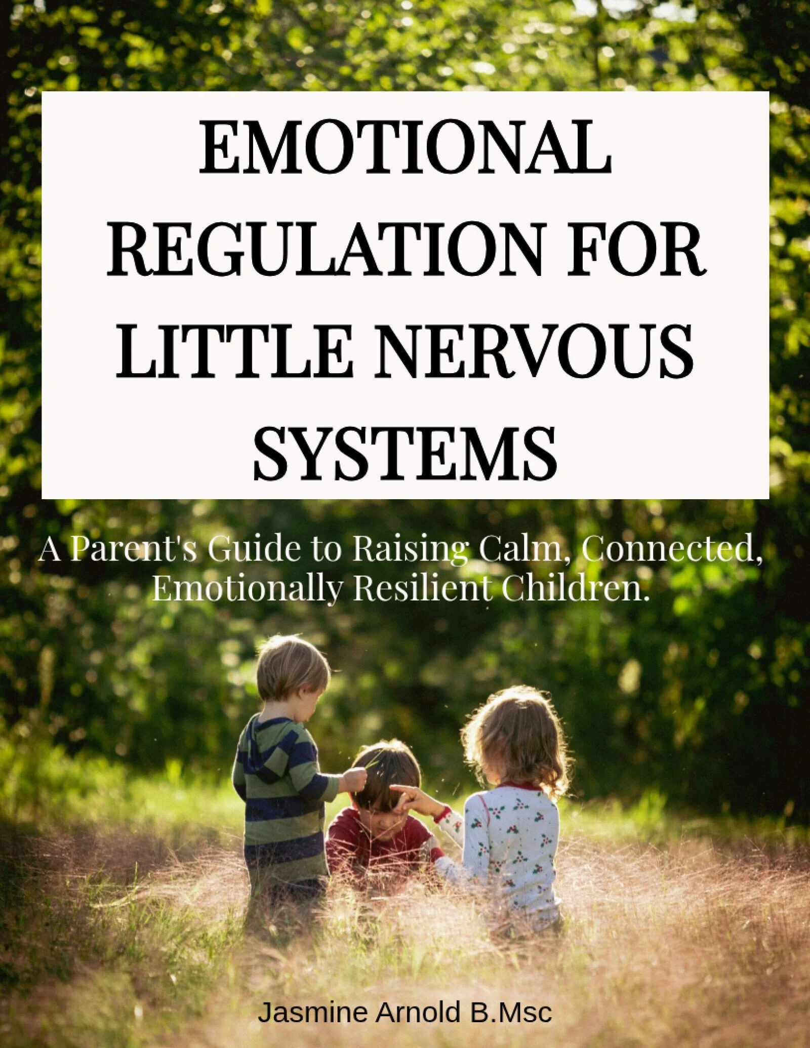 Emotional Regulation for Little Nervous Systems. A Parent’s Guide to Raising Calm, Connected, Emotionally Resilient Children