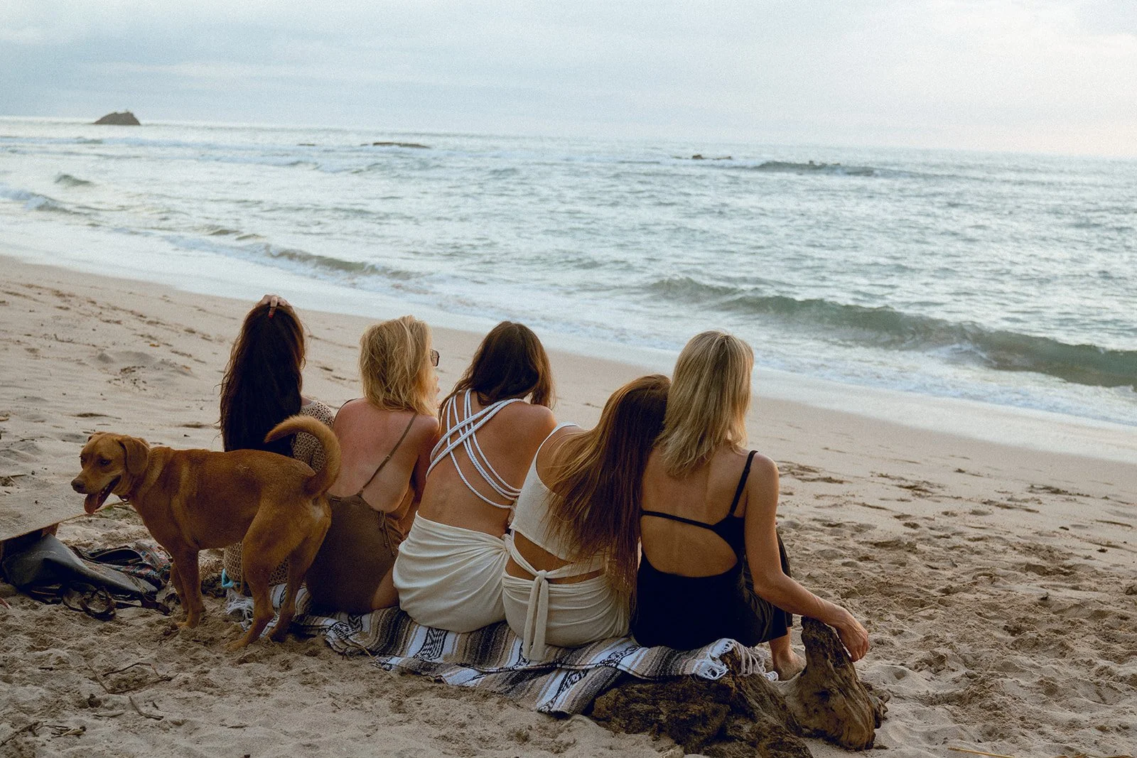 Five women and one dog sitting on a beach, facing the ocean, with waves and rocks in the background.