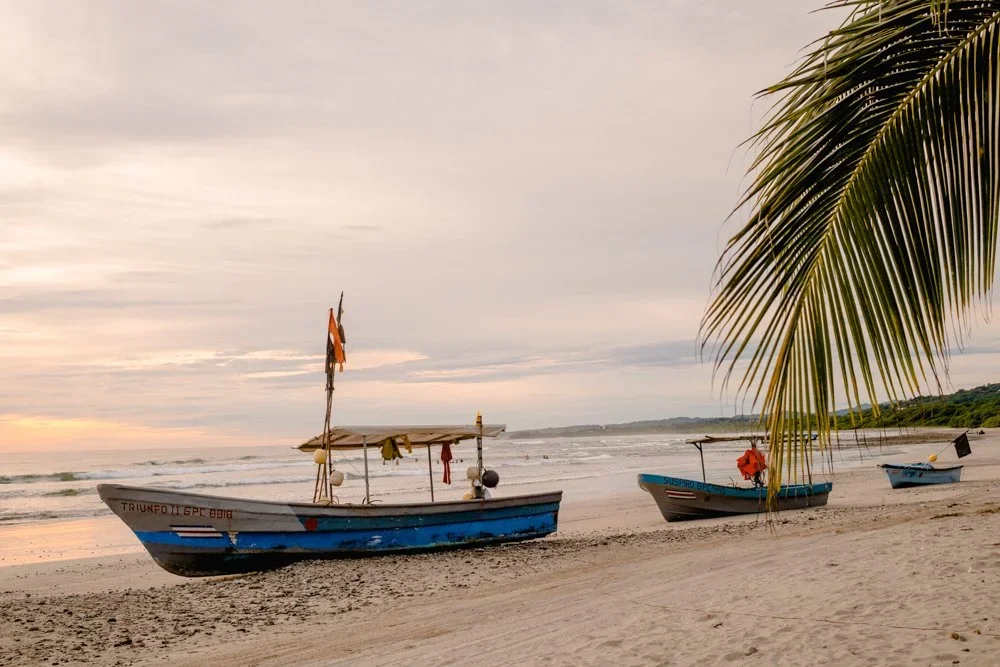 Boats pulled onto a sandy beach with a palm tree branch overhead and the ocean in the background during sunset.