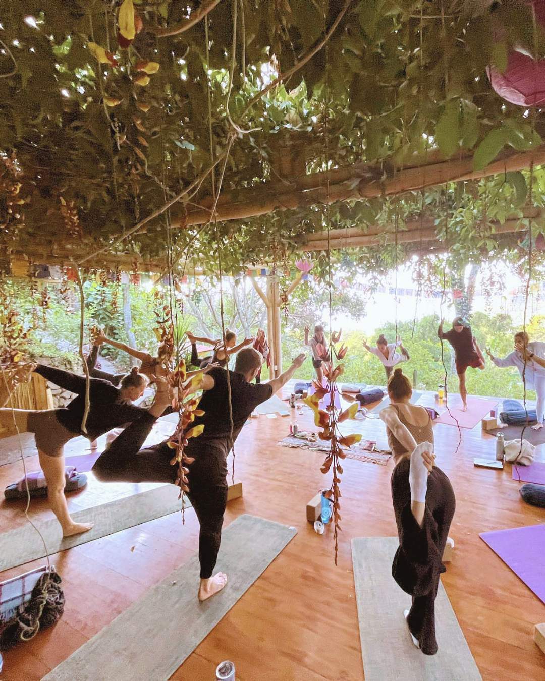 People practicing yoga indoors on mats, with an open wall and greenery outside, under a leafy ceiling, in a peaceful setting.