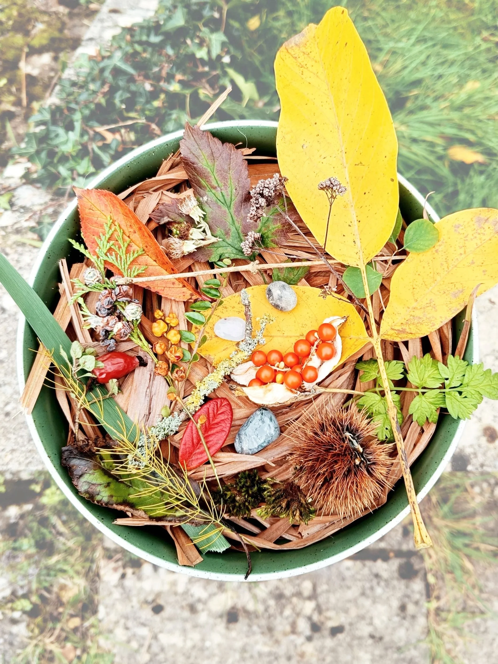 A round green container filled with various autumn leaves, small berries, dried flowers, and natural objects like thistle and stones, arranged on top of shredded bark or wood chips.