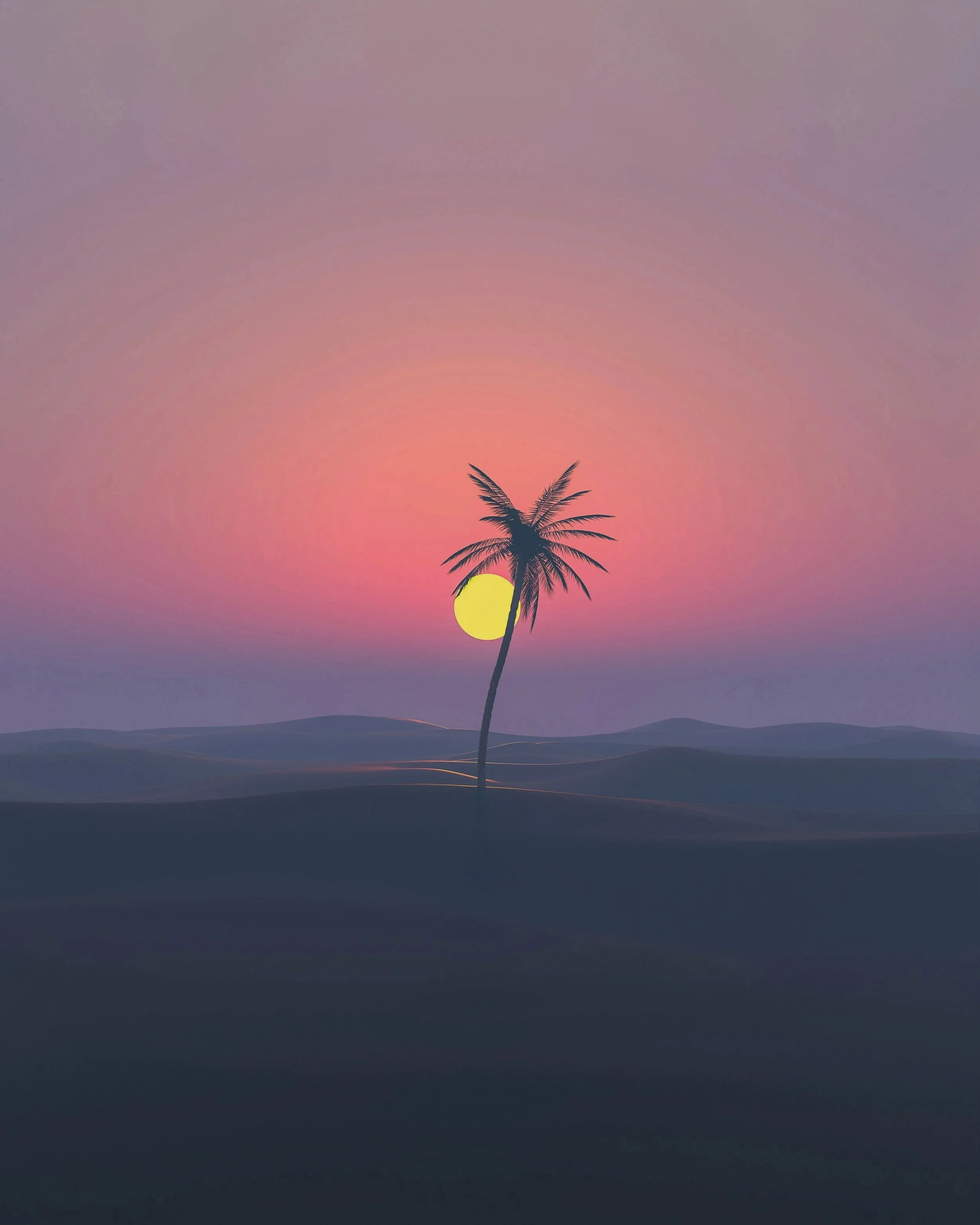 Sunset over a landscape with a silhouette of a solitary palm tree in the foreground.