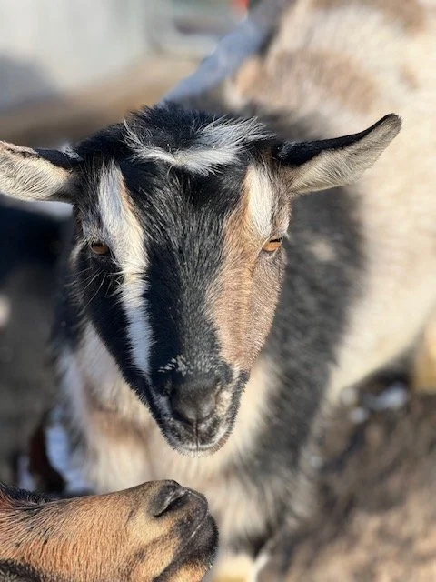 IMG_0298.jpg