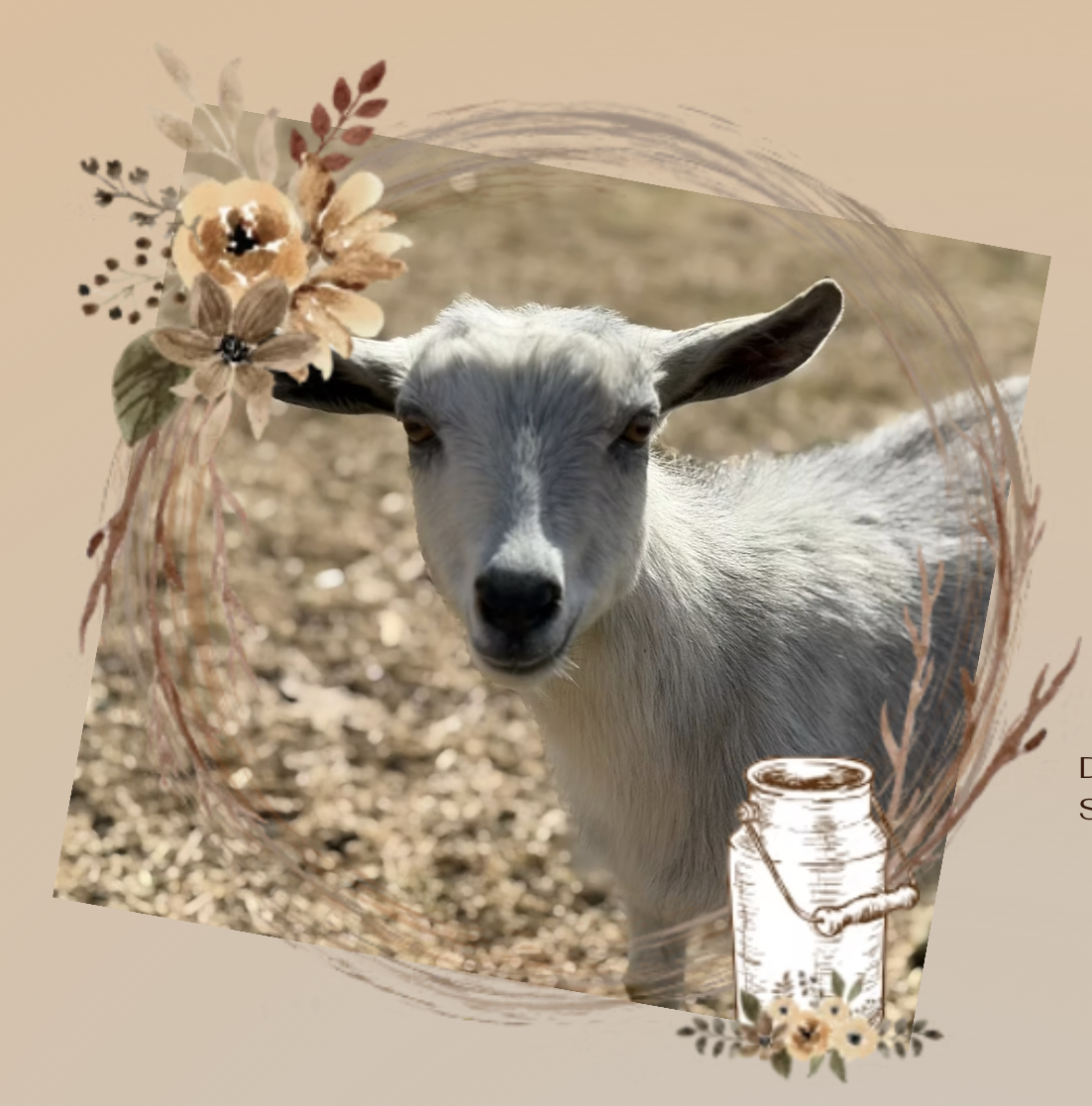 Old Mountain Farm Silver Hart