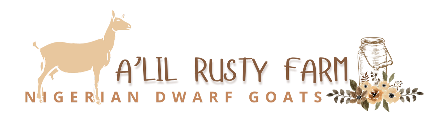 A'Lil Rusty Farm