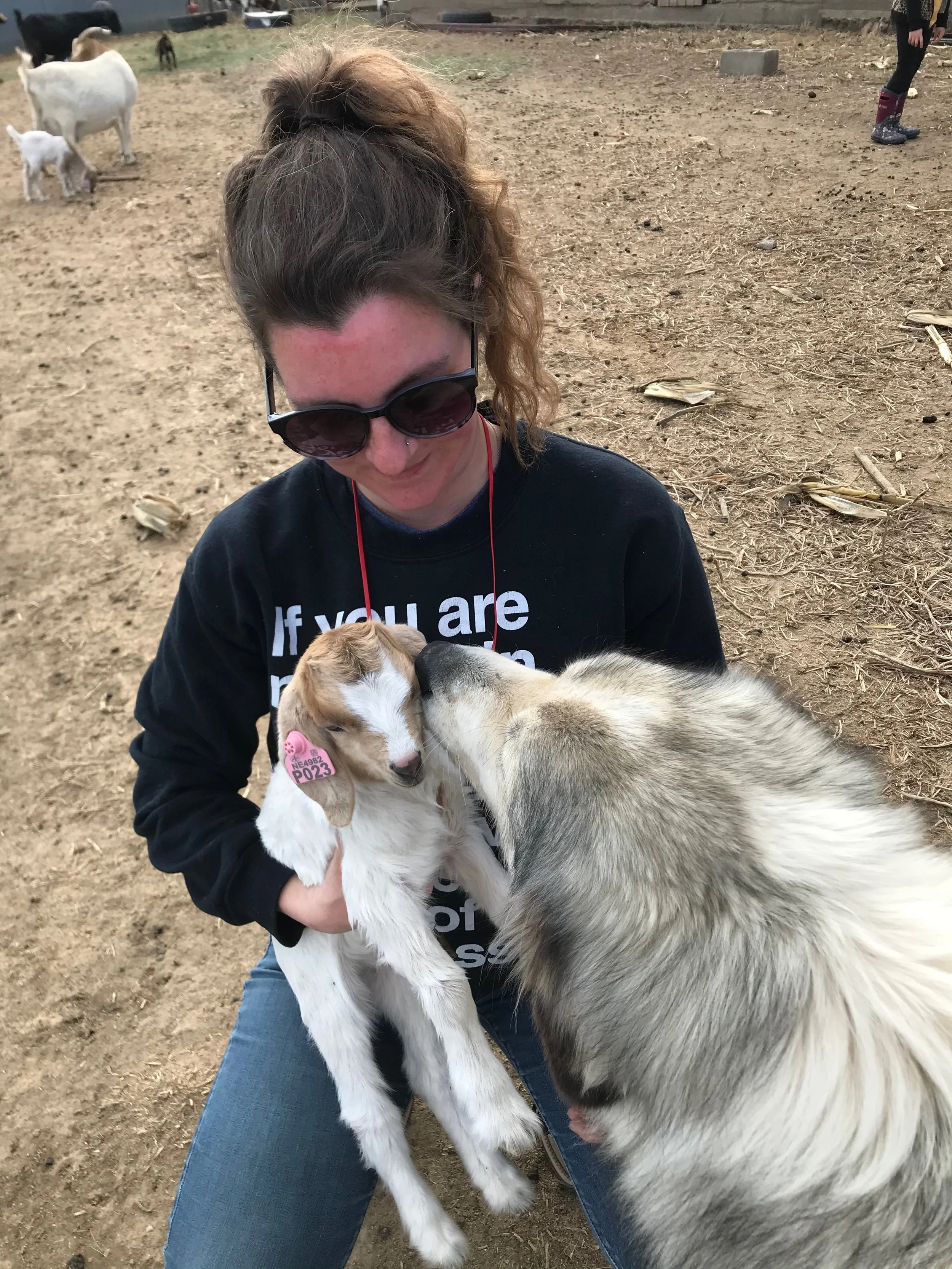 IMG_3998.jpeg