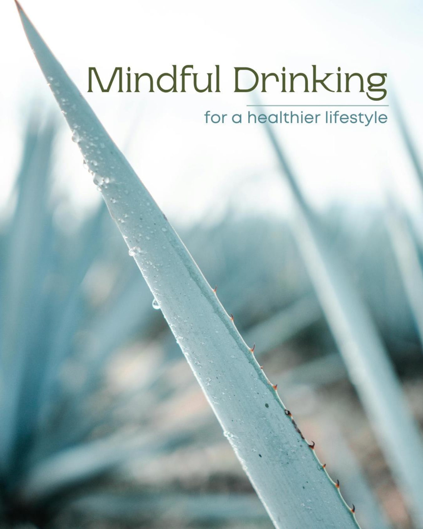 Mindful Drinking for a Healthier Lifestyle