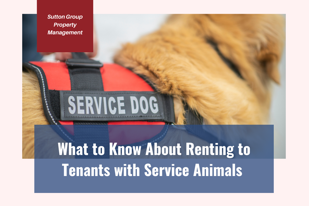 What to Know About Renting to Tenants with Service Animals