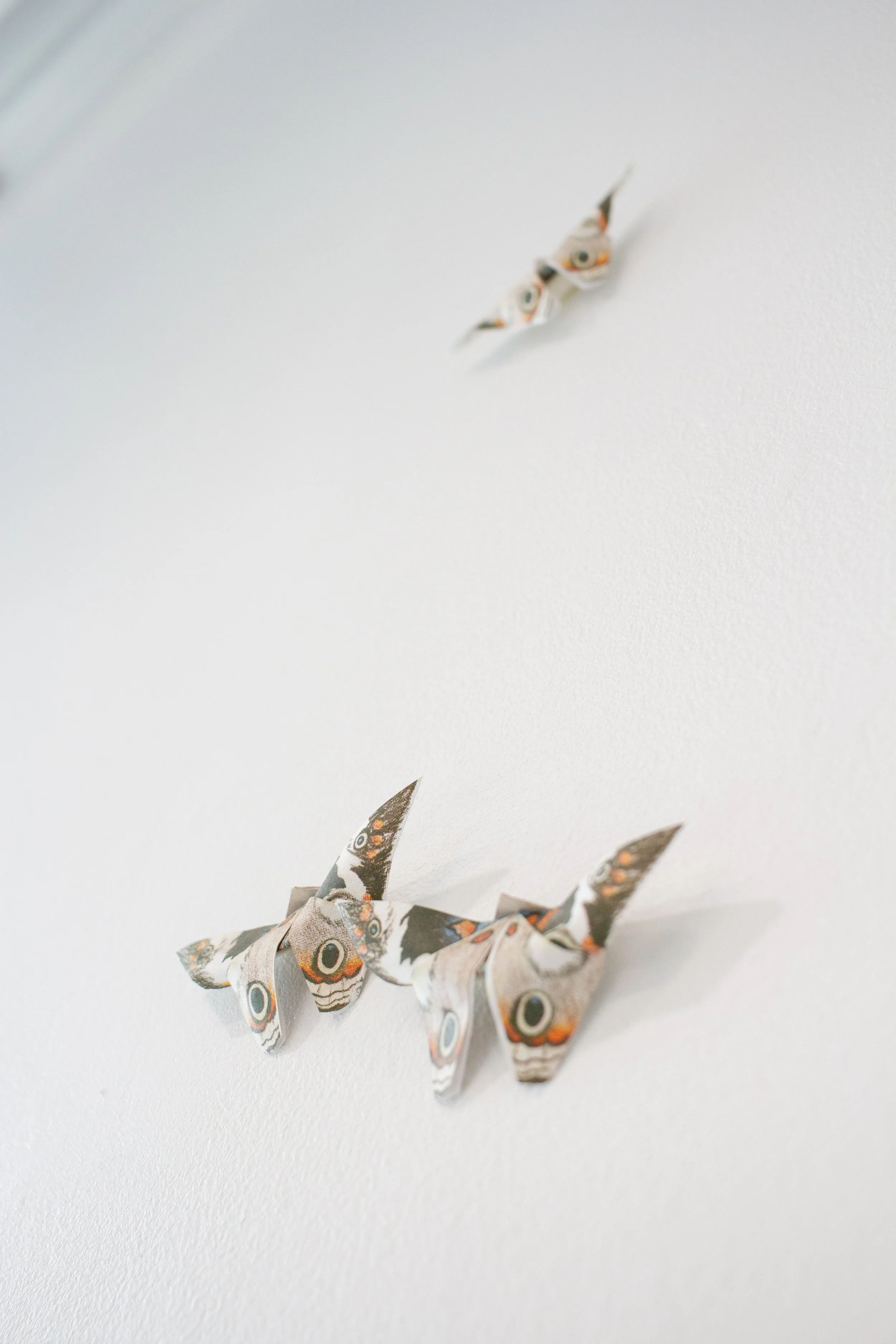 Final critique installation (detail)