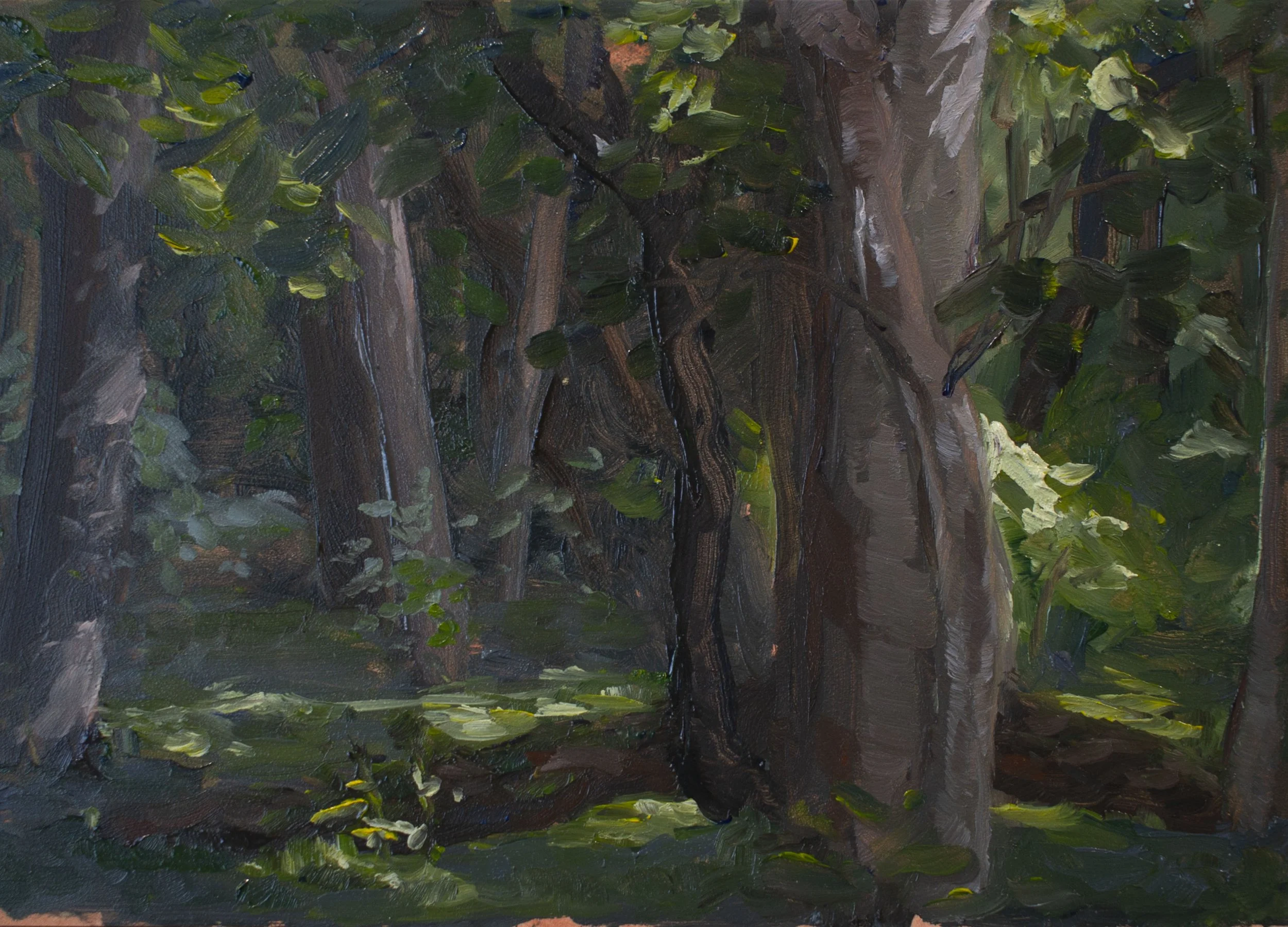 Kill Creek Glade,
Oil on panel,
5" x 7"