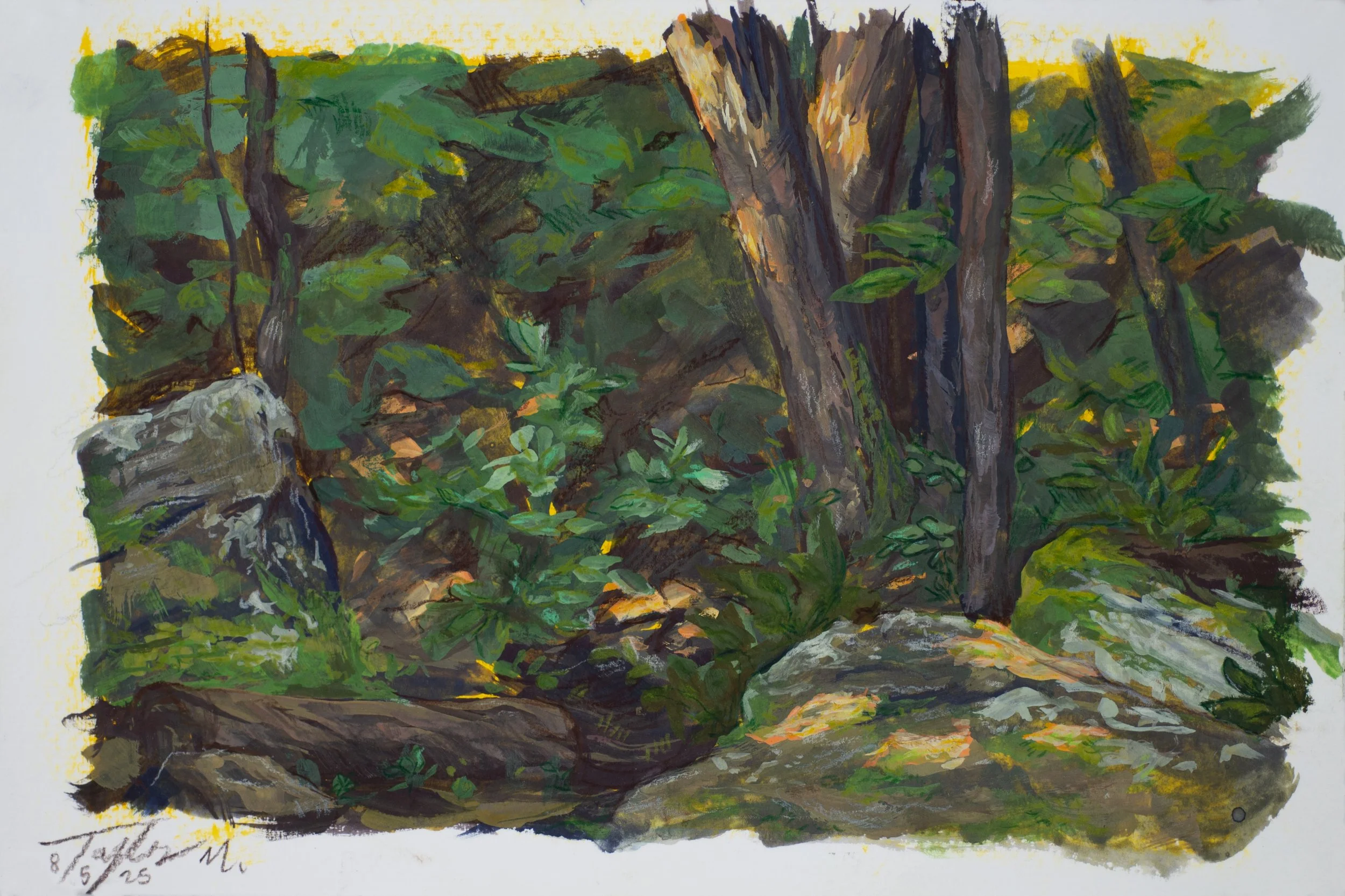 Mt. Sequoia, Gouache and watercolor pencil on watercolor paper, 9" x 6"