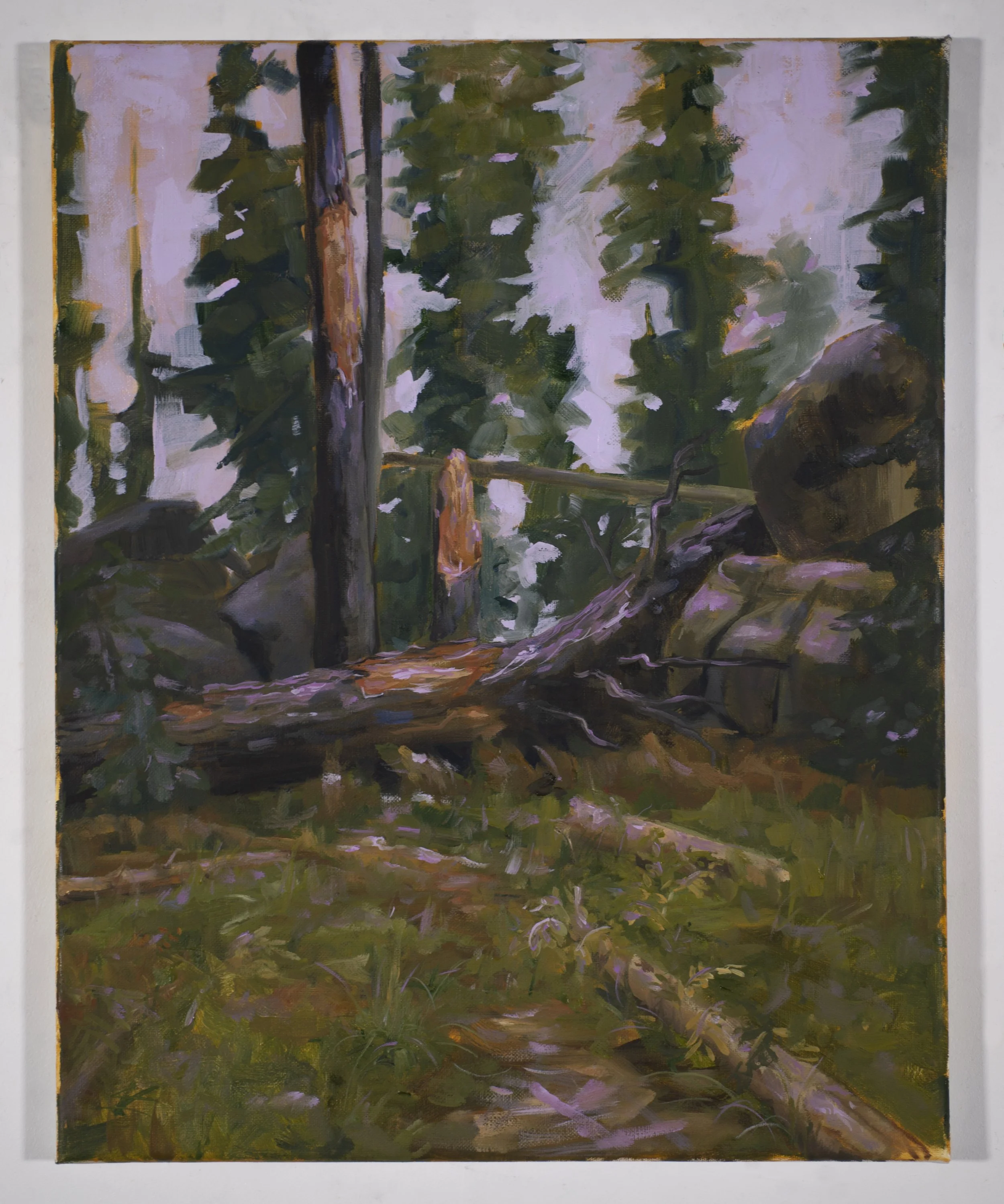 Yosemite Lavender Light,
Oil on canvas,
16" x 20"