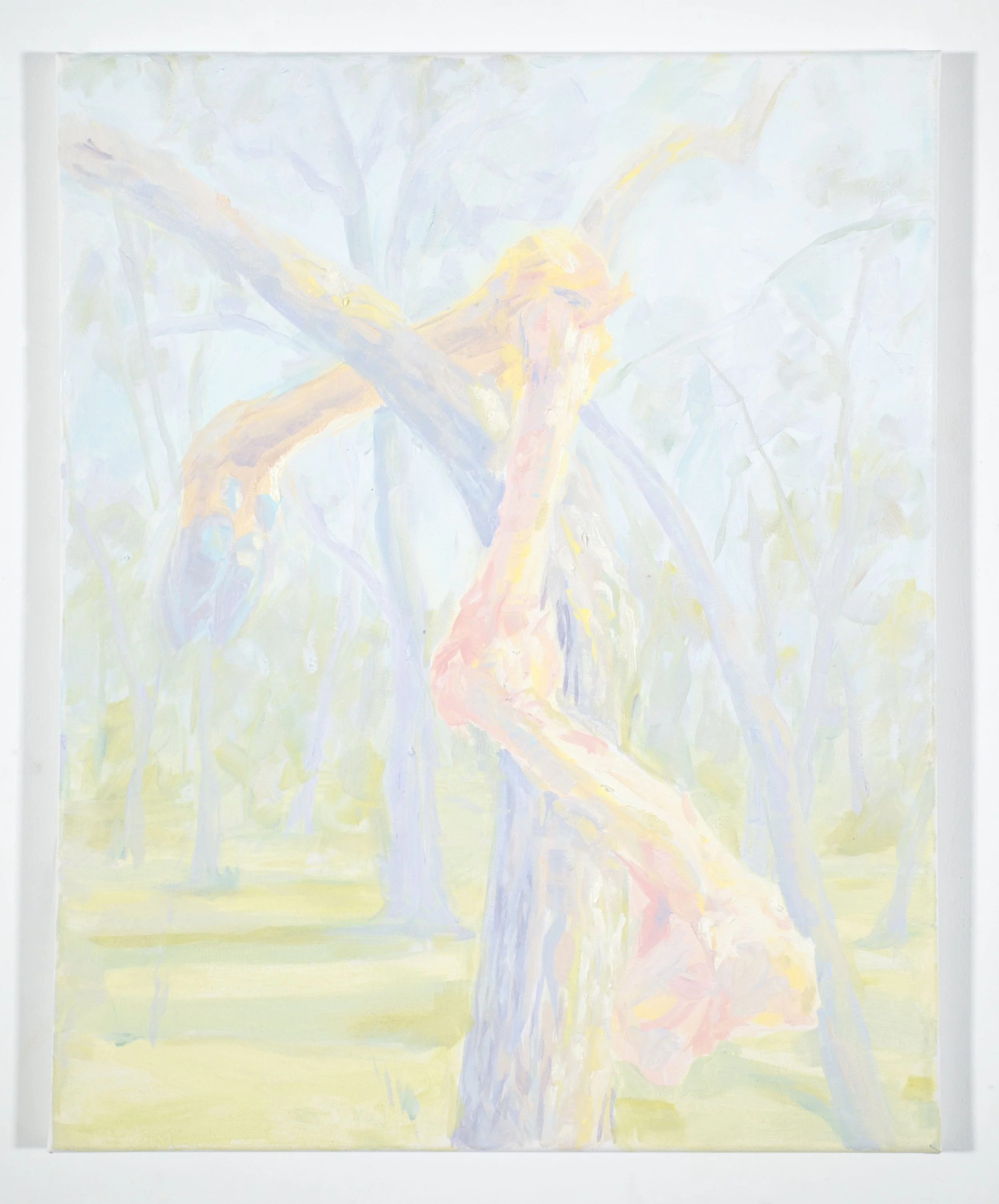 Pastel Gore,
Oil on canvas,
20" x 16"