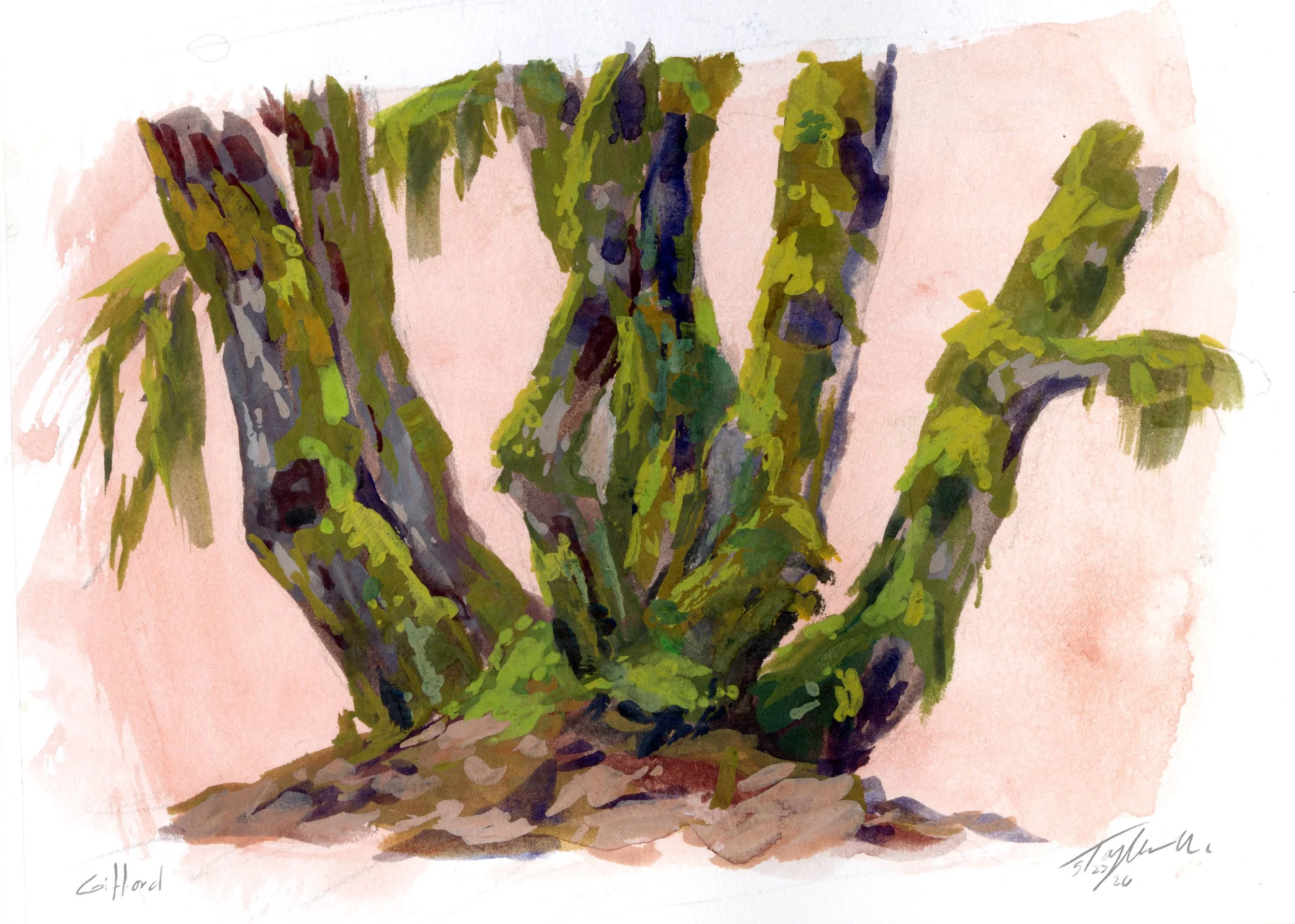 Gifford Forest copy.jpg