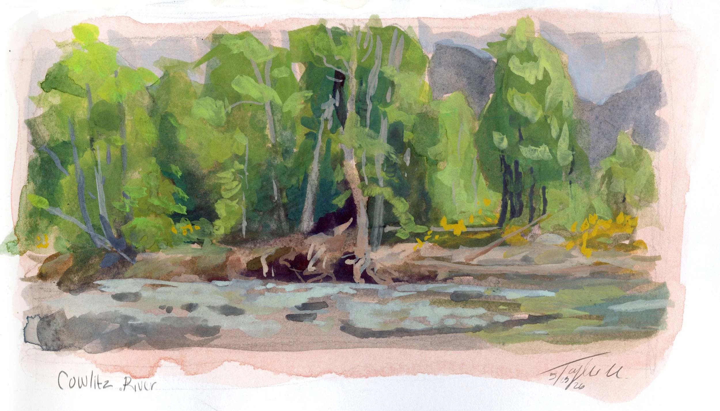 Cowlitz River copy.jpg