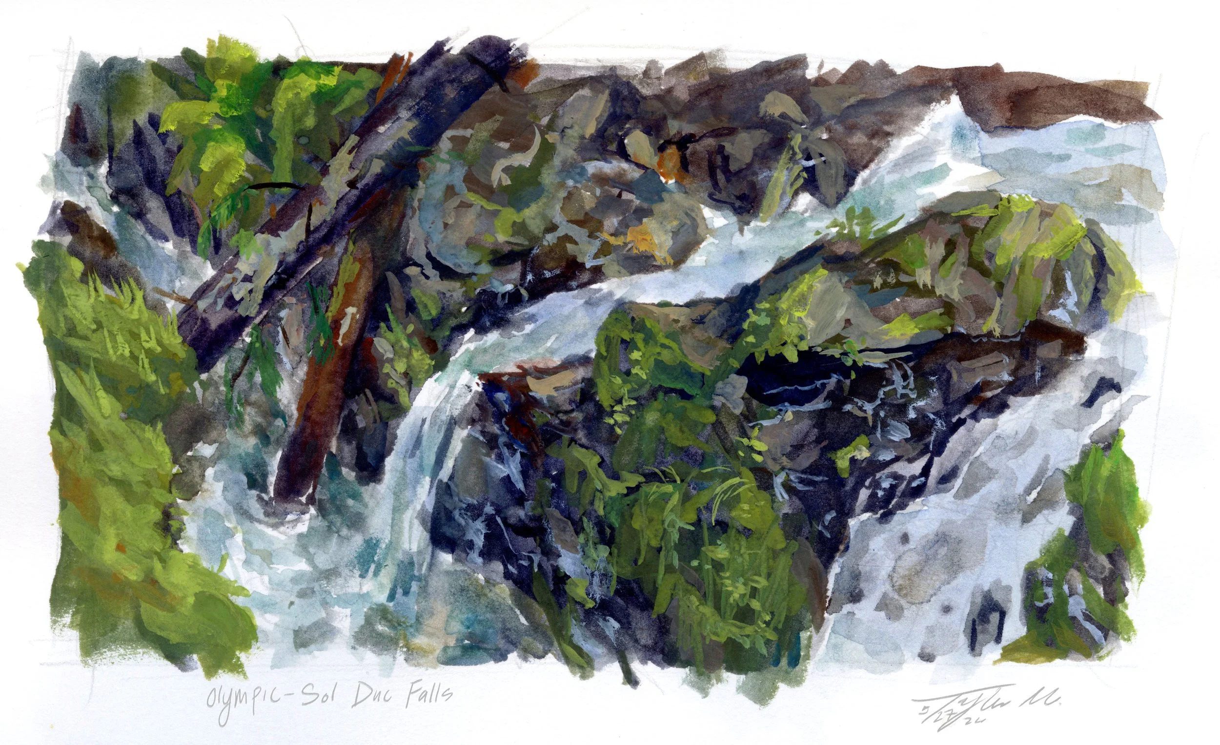 sol duc copy.jpg