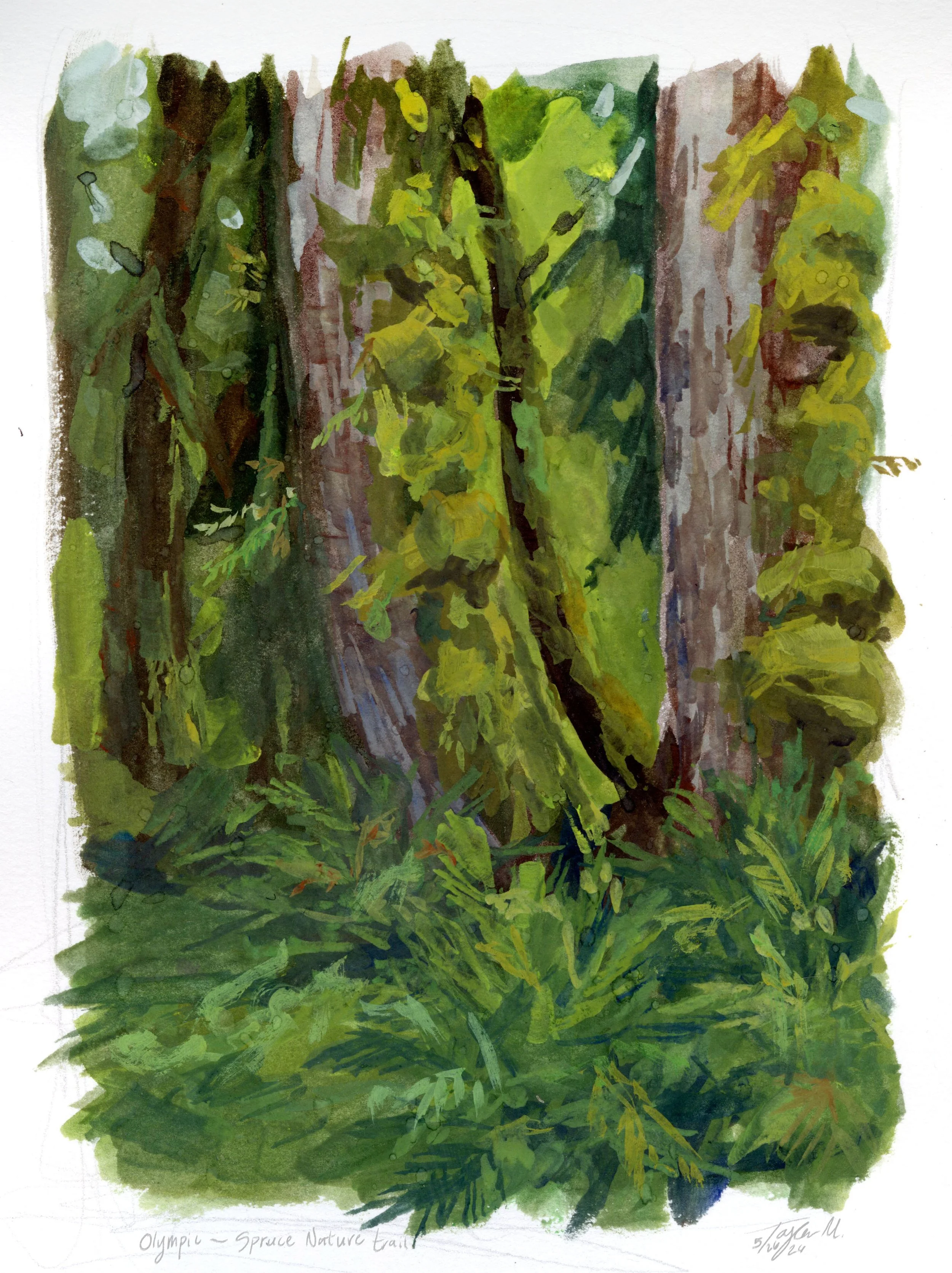 Spruce nature trail copy.jpg
